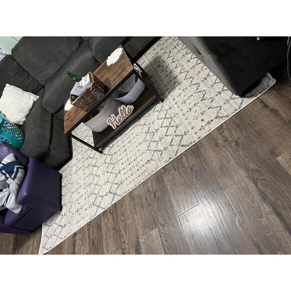 5x8 Moroccan Boho Area Rug, Vintage Diamond Cream/Gray Stain-Resistant Carpet - Picture 10 of 11